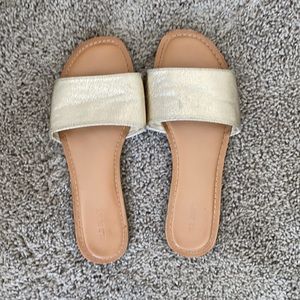 Gold Slides